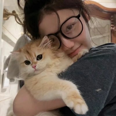 七合圣石战记：银月之翼
